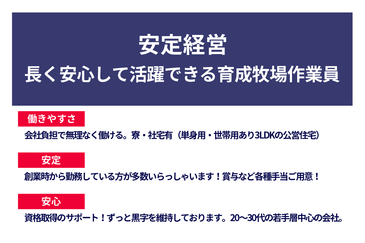 安定経営　長く安心して活躍できる育成牧場作業員