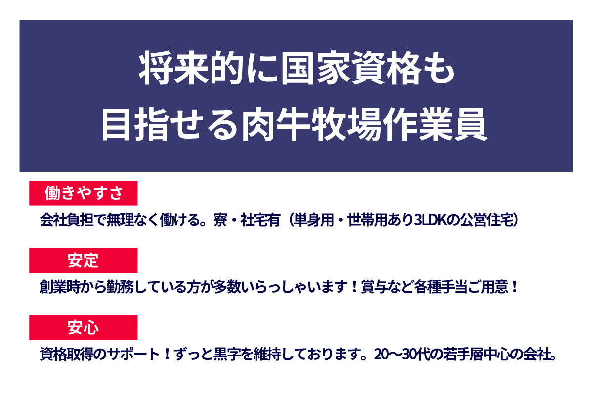 将来的に国家資格も目指せる肉牛牧場作業員